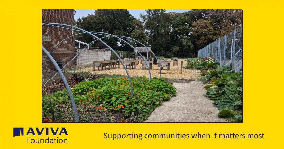 Restoring Baycroft SEND School’s Horticulture Area - a Charities ...