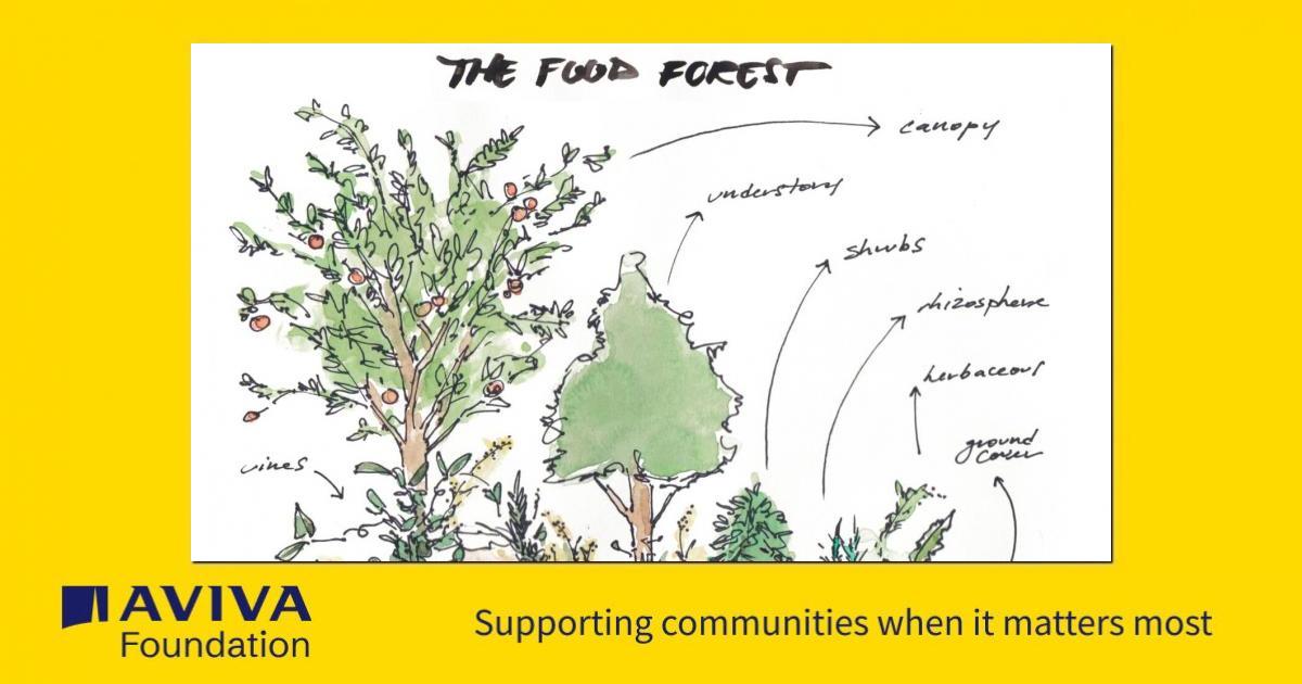 Community Food Forest - a Social Enterprise crowdfunding project in ...