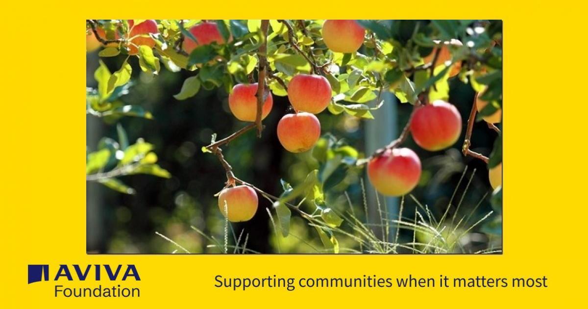 Graham Street Park Community Orchard - a Community crowdfunding project ...
