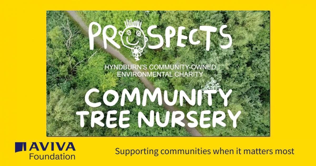 Prospects Community Tree Nursery - a Community crowdfunding project in ...