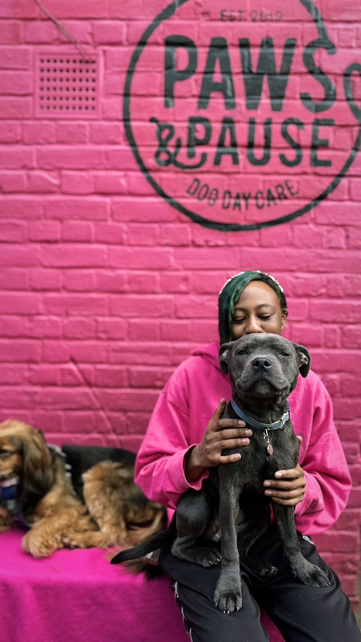 Paws for Progress: Recovery to work & wellbeing - a Community ...