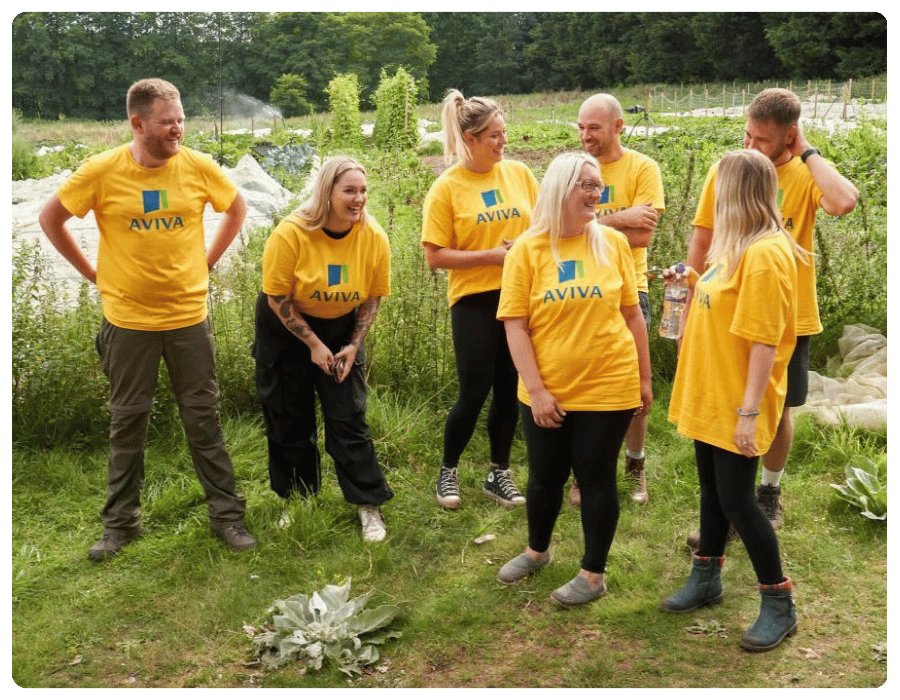 Apply for Aviva volunteers to support your project